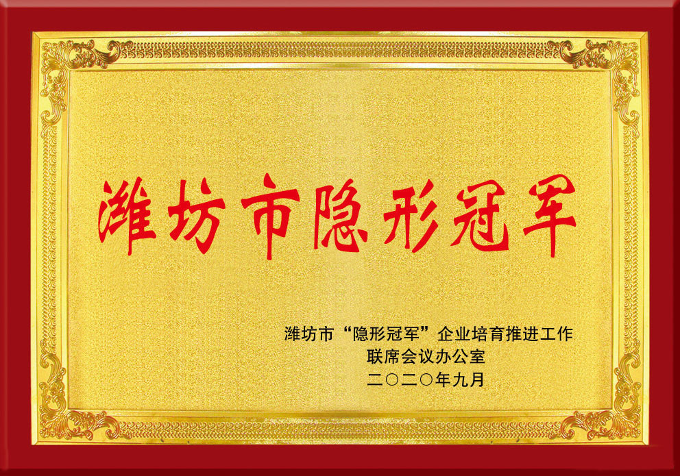 濰坊市(shì)隐形冠軍